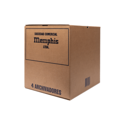 Caja de Archivo Memphis 4 Archivadores