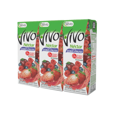 Jugo Natural Vivo Berries 190 ml 3 Unidades