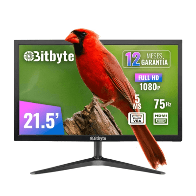 Monitor Bitbyte 21.5" Full HD Negro